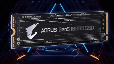 Фото - Gigabyte анонсировала SSD-накопители AORUS Gen5 10000 с интерфейсом PCI Express 5.0