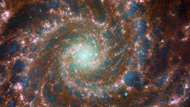 Фото - «Хаббл» и «Джеймс Уэбб» впервые поработали вместе. Астрономы поделились комбинированным снимком «Призрачной галактики»