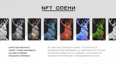 Фото - Якутия представила первую NFT-коллекцию оленей