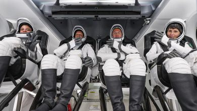 Фото - Астронавты миссии SpaceX Crew-4 скоро вернутся домой