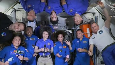 Фото - На МКС доставят новогодние подарки для космонавтов в октябре