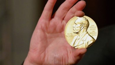 Фото - В Российской академии наук предложили создать альтернативу Нобелевской премии