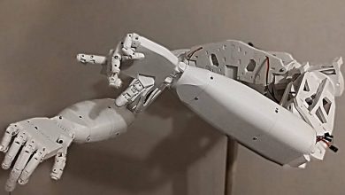 Фото - В России создан робот, умеющий общаться жестами